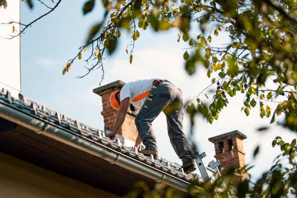 Best Roof Gutter Cleaning  in Joshua, TX
